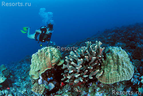 Le Meridien Tahiti 12
